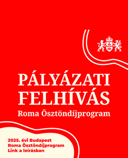 Pályázati felhívás